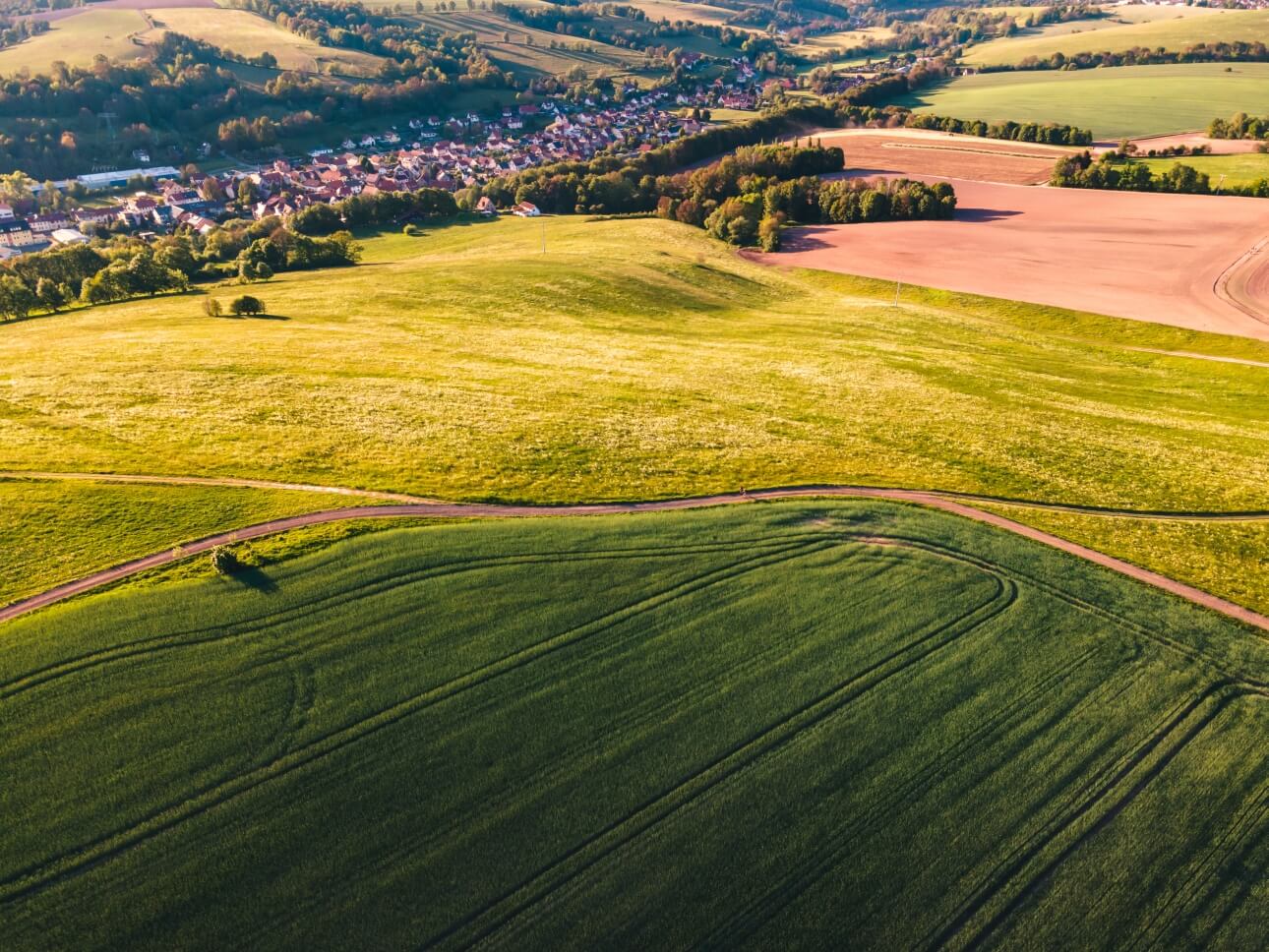 Strona główna